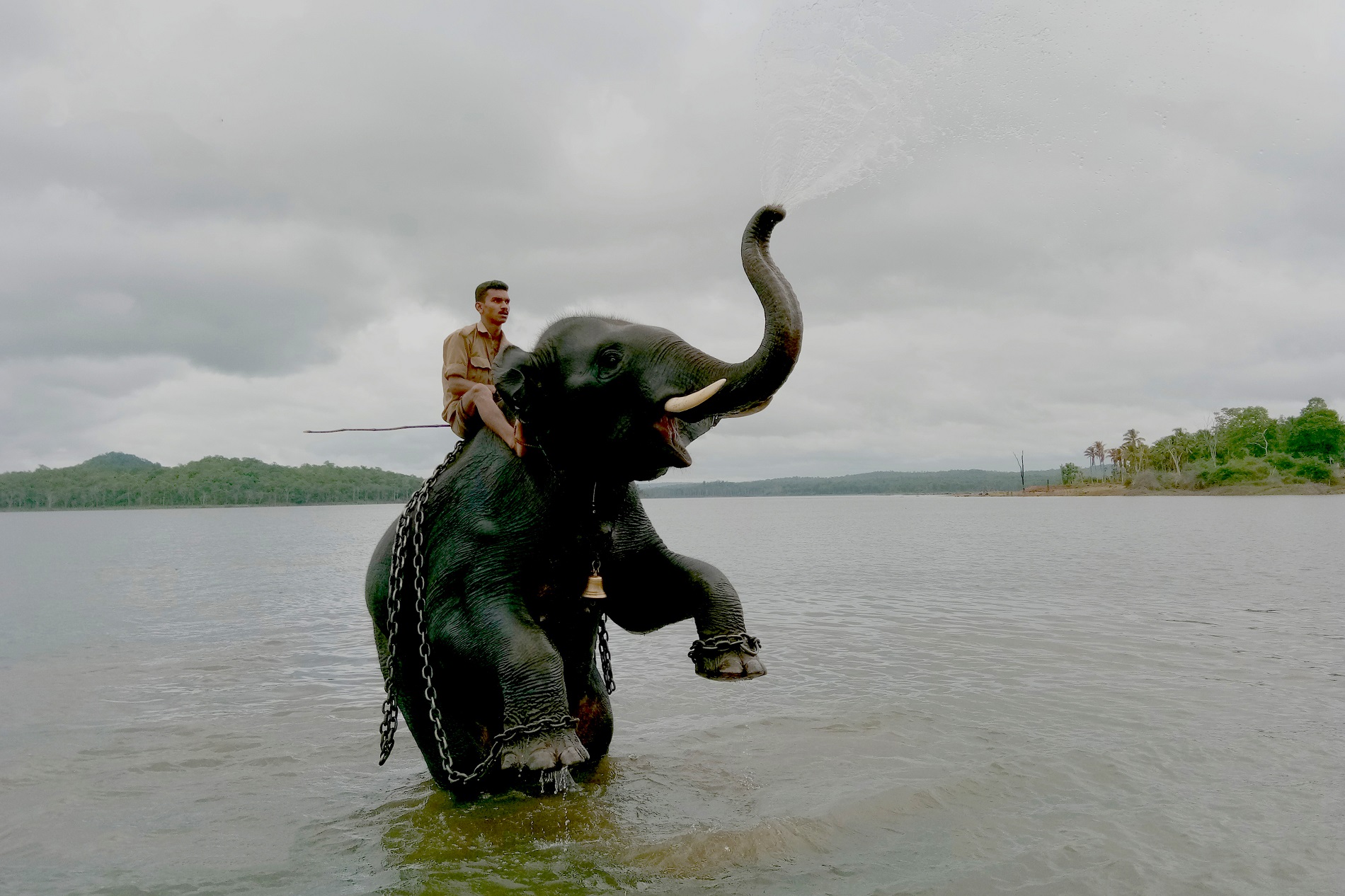 Sakrebailu Elephant Camp (Gajanur)
