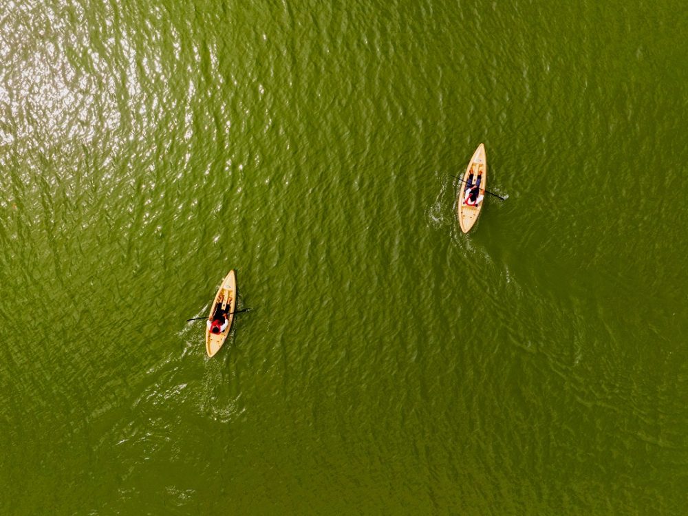 Sharavathi Nature Camp Srinivasa Shantharam - 20 X 30